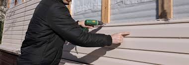 Best Siding Painting and Refinishing  in Bushland, TX